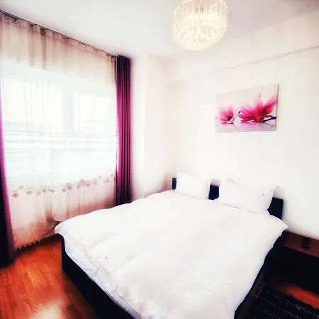 Apartment Business Cluj-Napoca