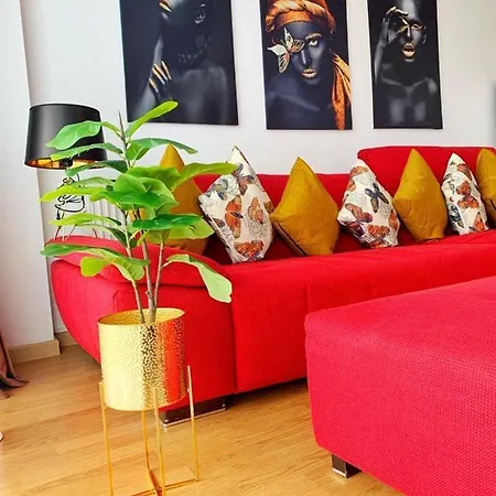 Business Apartment Cluj-Napoca