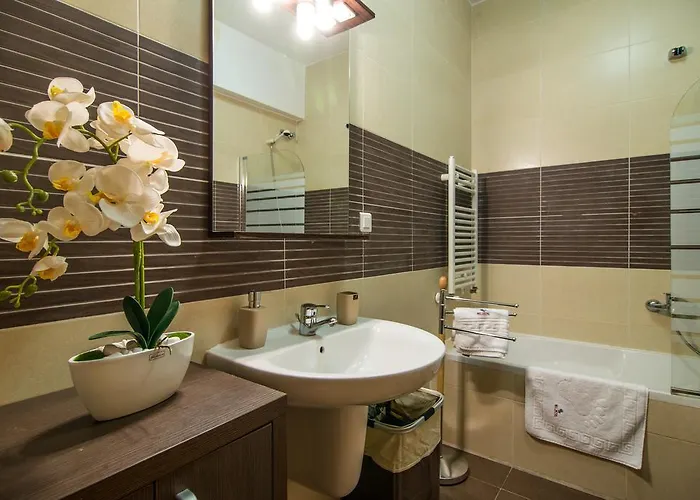 Business Apartment Cluj-Napoca